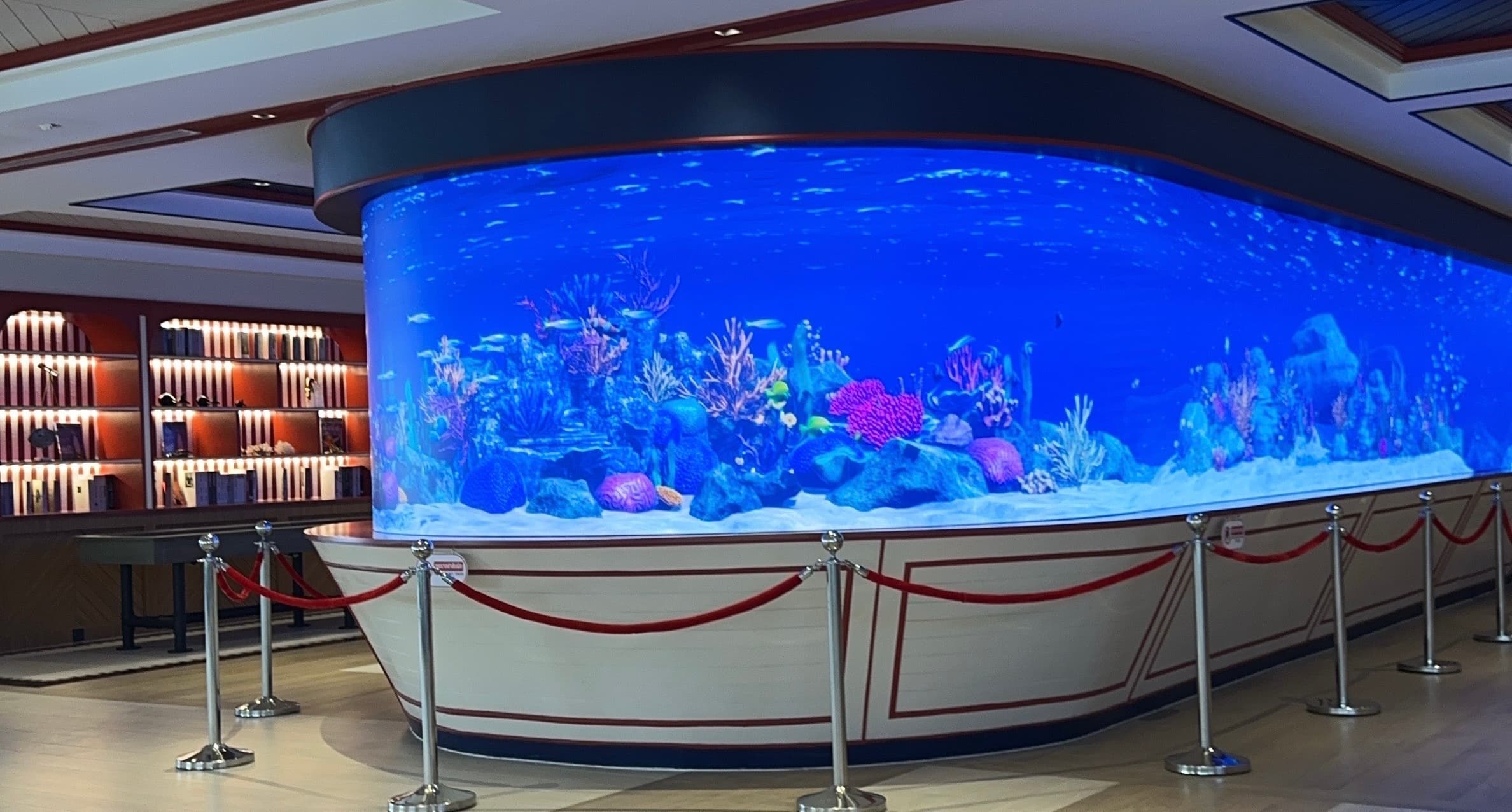 Interactive Experience